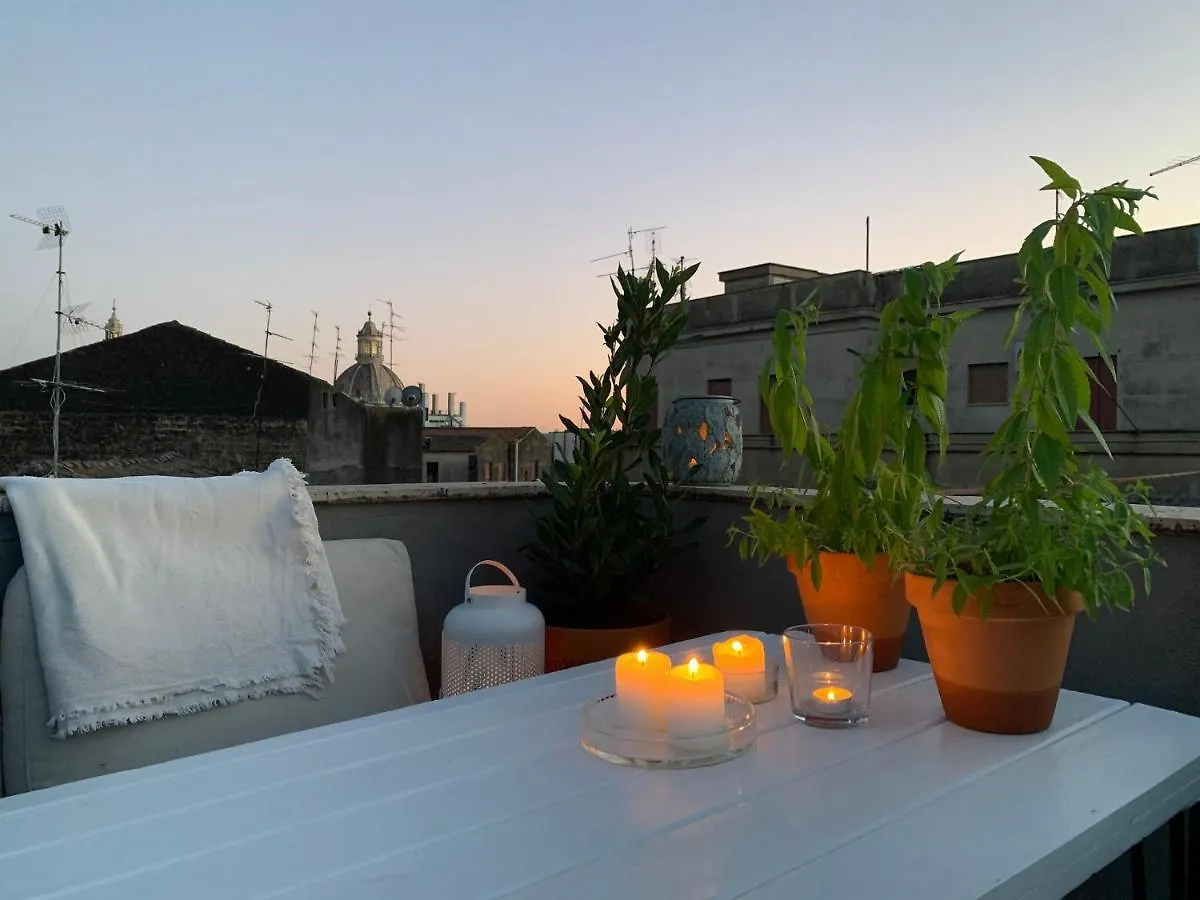 Homestay Rooftop Katania 0*,